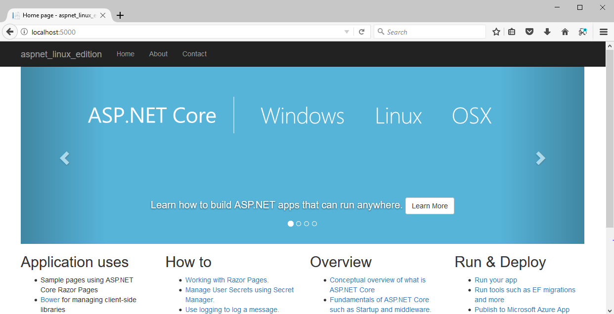 Default ASP.NET application running on port 5000